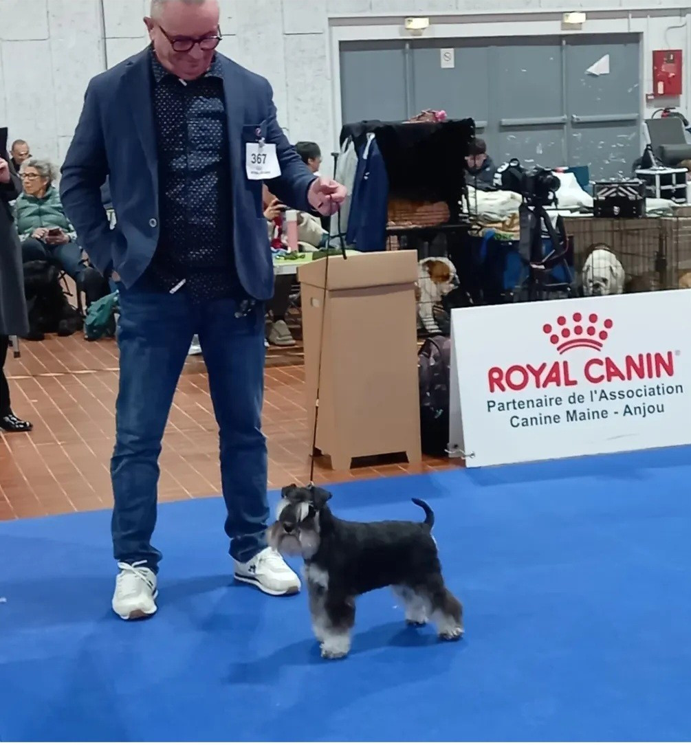 Exposition d'Angers les 21 et 22 mars 2026